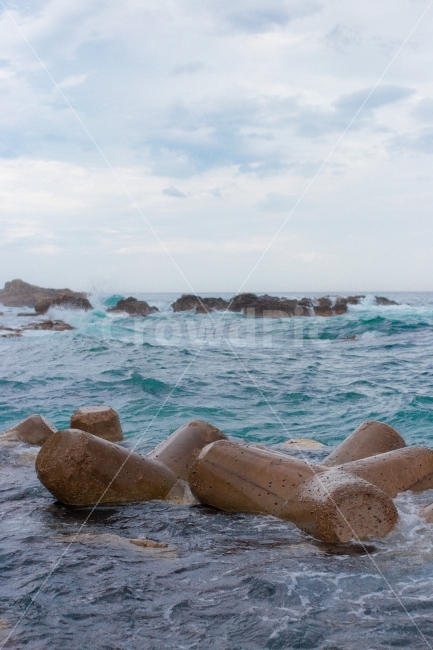 파도,동해,바다,방파제,물결,여름,흐림,수평선,자연,풍경,nature,landscape,wood,나무