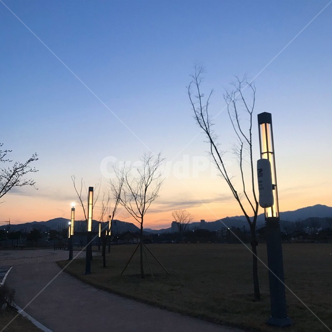 노을,가로수길,산책,하늘,sunset,glow,sky,tree