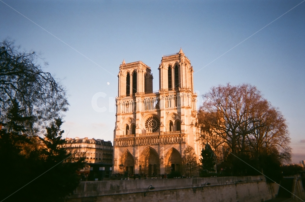 노트르담대성당,파리,유럽,건물,나무,건축물,notredame,아날로그,해외,세계,프랑스,필름사진,paris,oversea,world,europe