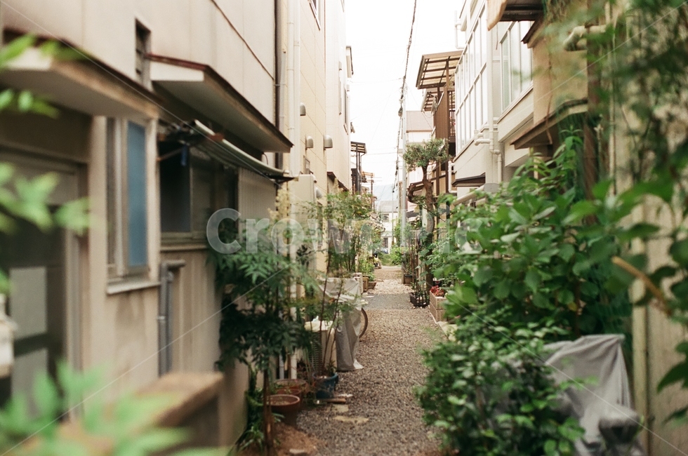골목,길,주택,낮,오후,교토,일본,alley,kyoto,home,house,집,day,골목길,alley,빈티지사진,빈티지느낌,빈티지감성,vintage,urban,어반,town,도시,building,건물,city,시티,street,거리,road,도로