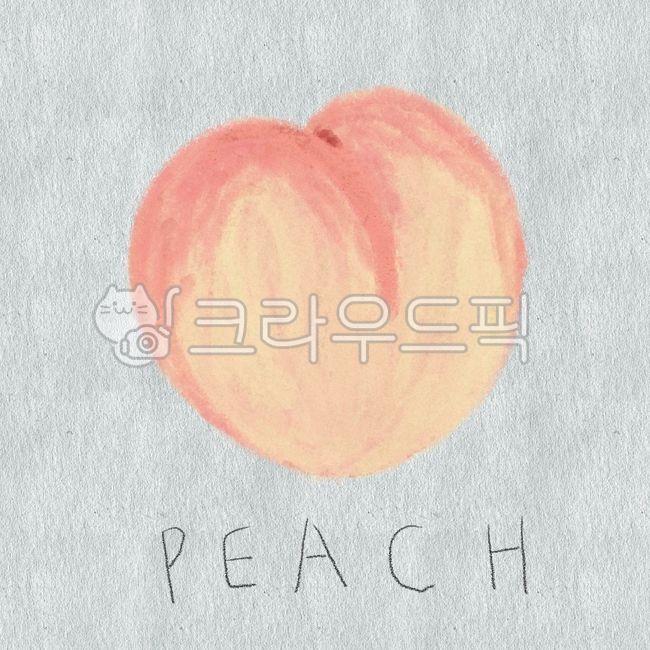 Peach illustration,white peach,fruit pictures,hand drawing,fruit,peach,fruitillust,peachillust,peachtext