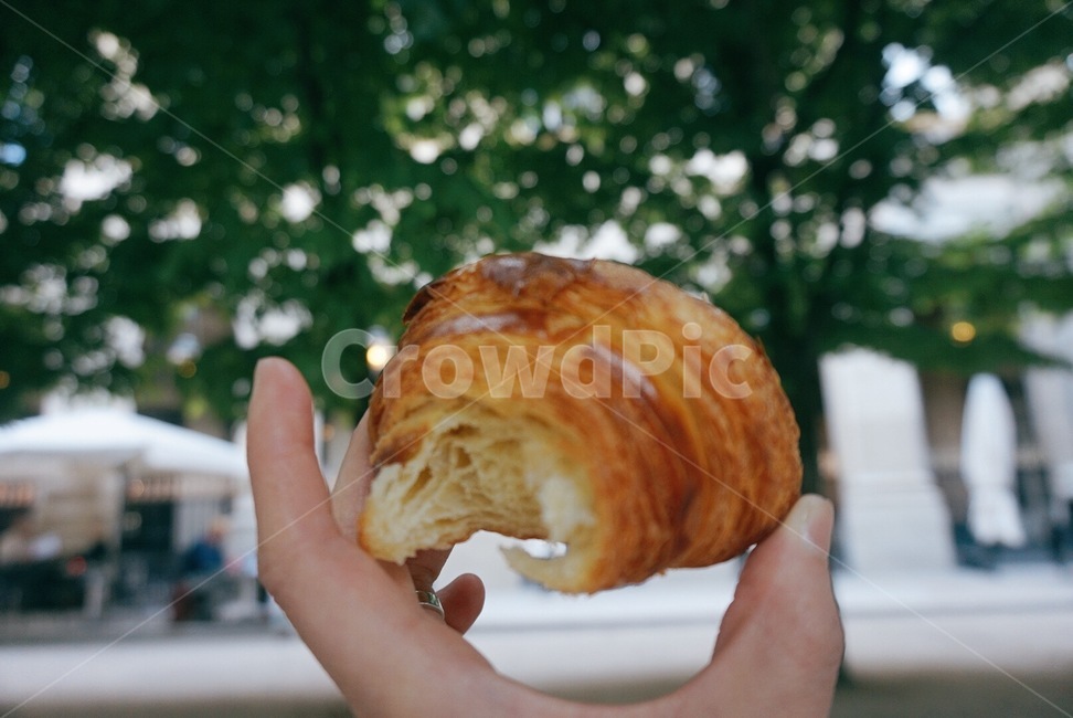 빵,bread,food,음식,크루아상,손,빵,bread