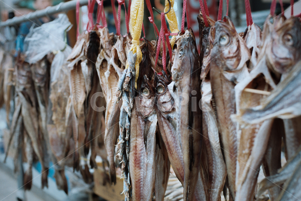 물고기,fish,코다리,시장,건어물