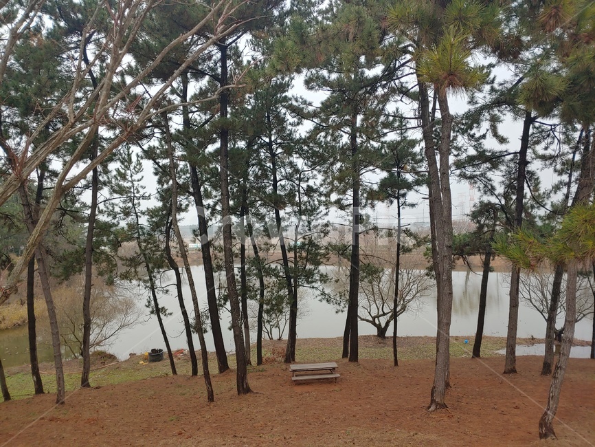 나무,호수,풍경,자연,의자,한적한,자연,풍경,nature,landscape,tree,plant,식물,ground,바닥