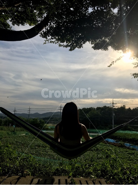 농촌,해먹,자연,풍경,나무,논,밭,여자,휴식