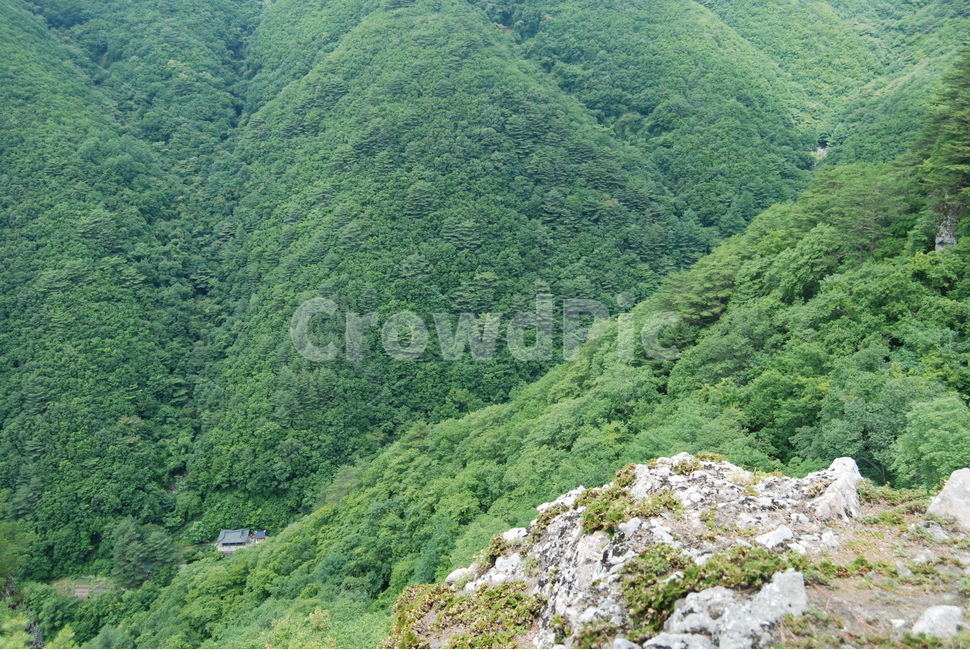 일월산,휴양림,자연,한국,탐방로,자연,풍경,nature,landscape,한국자연풍경,한국자연경관,korea nature landscape,outdoors,옥외,slope,경사,hill,언덕