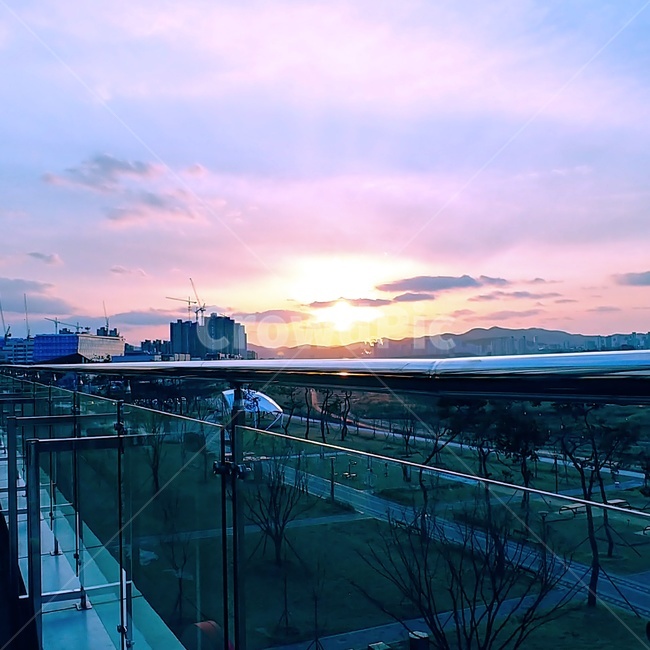 풍경,노을,개발,보라색,앤딩,세종특별자치시,세종시,세종행정도시,개발도시,혁신도시