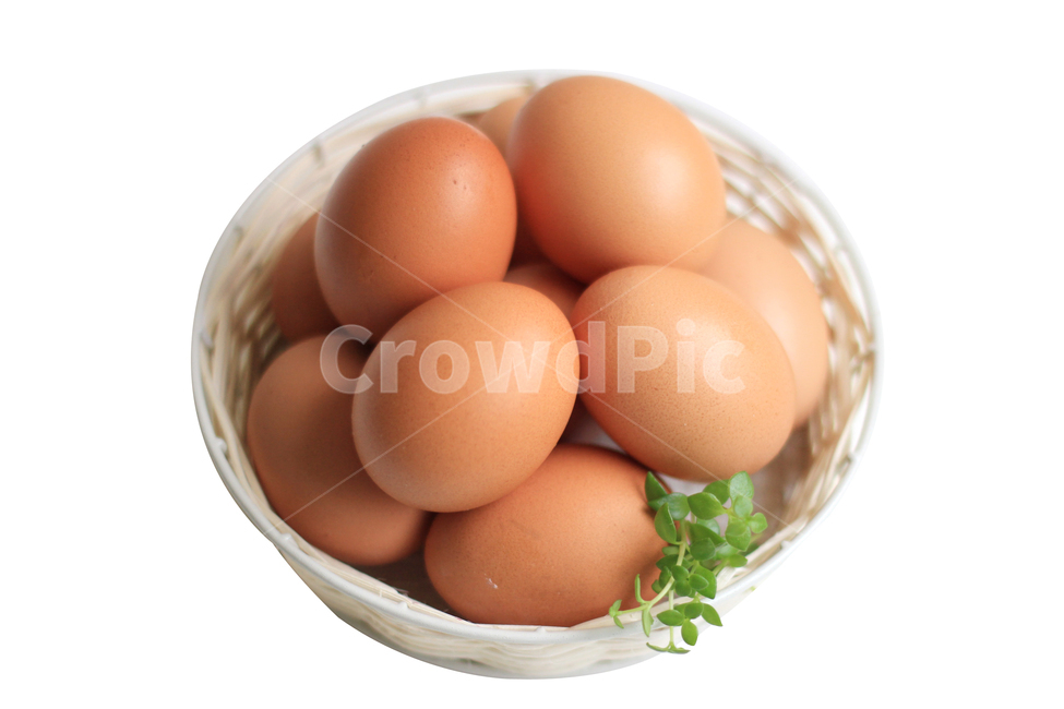 egg package,egg,still life,egg basket