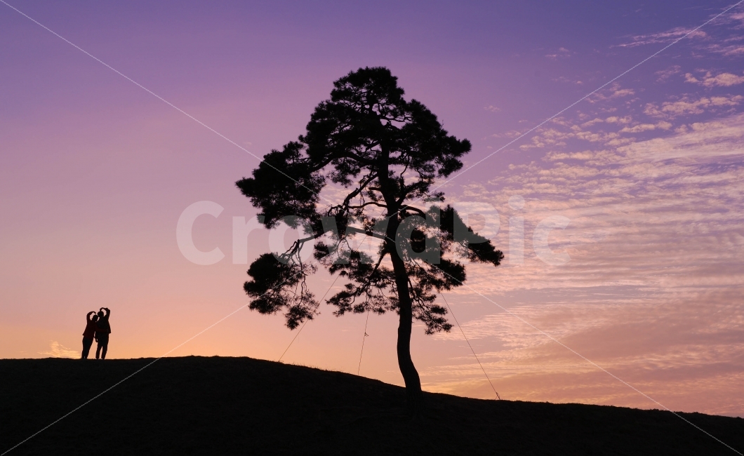 사랑,하트,연인,사람,노을,자연,풍경,nature,landscape,식물,plants,나무,trees,wood,사람,인물,인간,human,person,연인,커플,사랑,lover,couple,감정표현,기분,feeling,emotion,인물실루엣,사람실루엣,character silhouette,human silhouette,색깔,색상,색채,색감,color sense,color sensitivity,feeling of color,plant,tree,outdoors,옥외