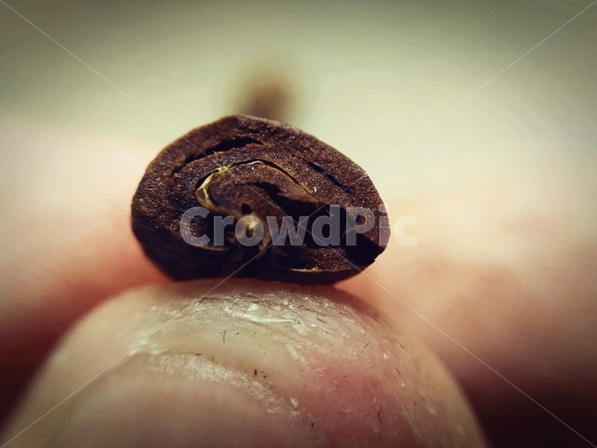 원두,로스팅,홈로스팅,카페,홈카페,커피,bean,wholebean,roasting,homeroasting,cafe,homecafe,coffee