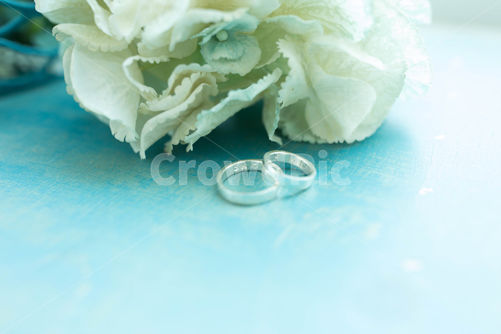 반지,결혼,반지꽃,이니셜반지,이니셜,결혼,혼례,웨딩,wedding,marriage,marry