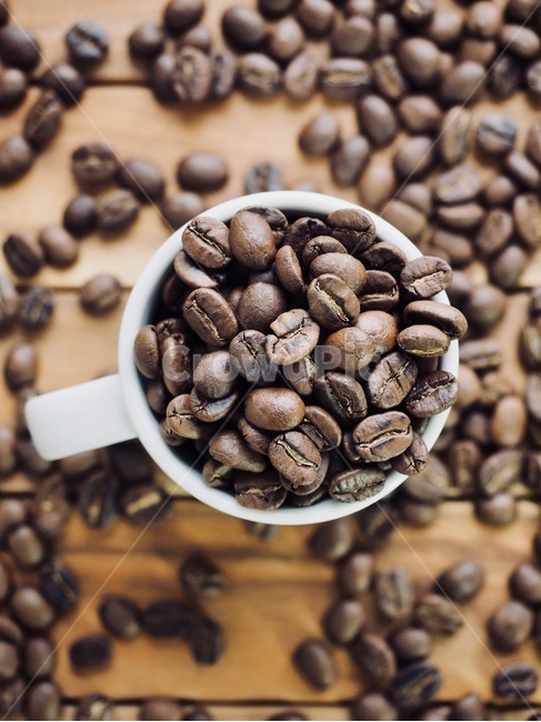커피원두,원두,커피콩,로스팅원두,로스팅,커피,아메리카노,배경,음료,coffeebeans,coffeebean,roastingbeans,roasting,coffee,americano,background,beverage,커피,카페,coffee,cafe