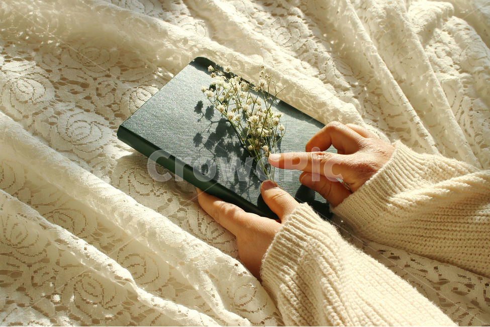 책,일기,일기장,다이어리,메모,기록,신체일부,몸,손,hand,body,diary,안개꽃,꽃,flower,레이스,꽃,flower,사람,인물,인간,human,person,신체일부,몸,body,감성,sensible,feeling,학용품,문구류,사무용품,school supplies,stationery,office supplies