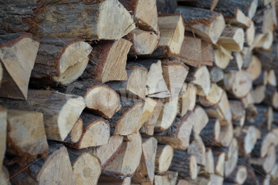 나무,땔감,wood,장작,목재,식물,자연,plants,nature