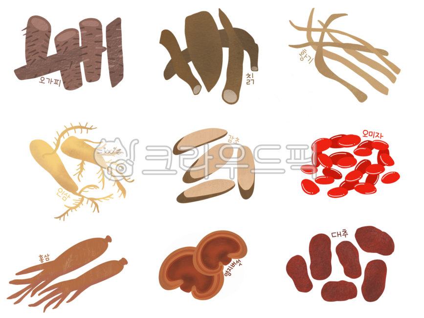 한의원놀이, 한약방놀이, 한약재, 약재, 한약재일러스트, 사진,이미지,일러스트,캘리그라피 - 뽀순이그림방작가