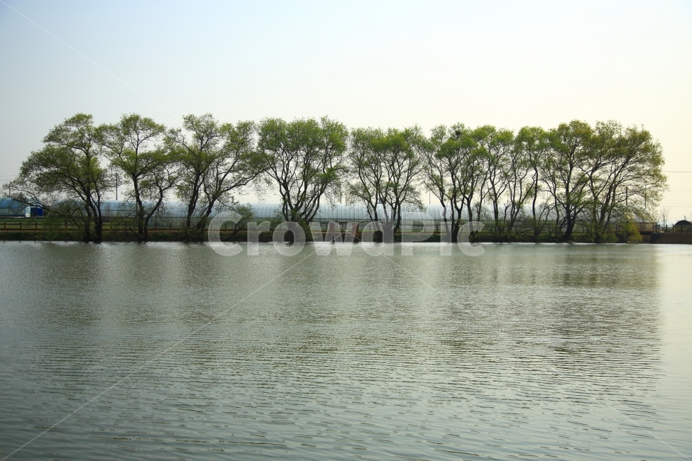 저수지,풍경,자연,석양,봄,자연,풍경,nature,landscape,식물,plants,나무,trees,wood,water,물,outdoors,옥외,land,땅