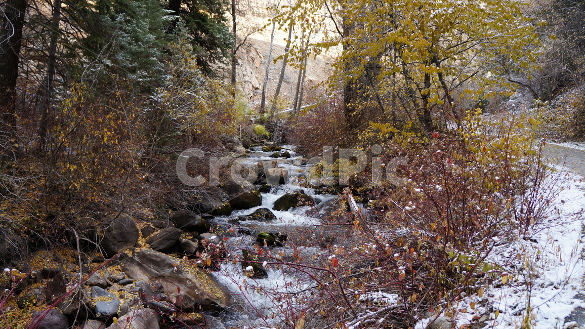 산,계곡,가을,하이킹,시원함,가을,계절,fall,autumn,season,자연,풍경,nature,landscape,water,물,stream,흐름,outdoors,옥외,creek,작은 만