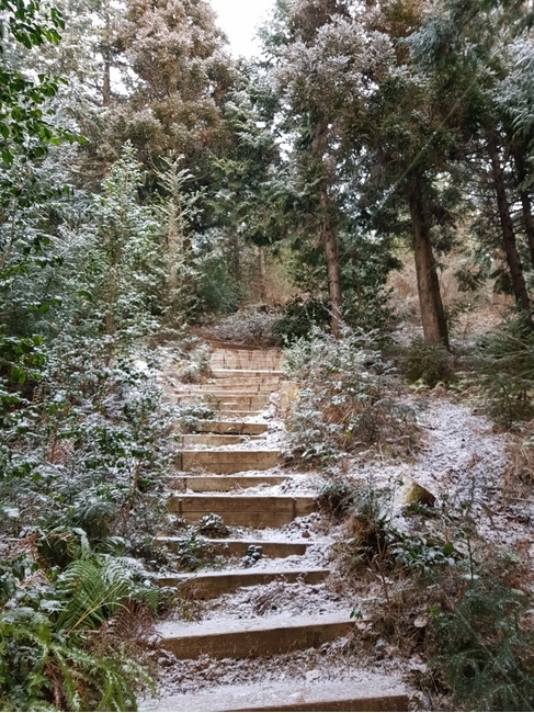 제주도,서귀포,오름,오르막길,눈