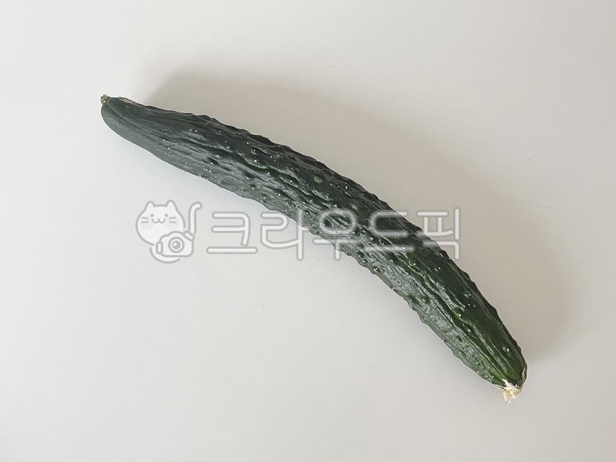 가시오이,오이,청오이,취청오이,아삭한,채소,야채,못난이오이,백다대기,다다기오이,농사,미니오이,제철,오이김치,먹을것,건강한,다이어트,초록색,수확,농부,농산물,접사,싱싱한