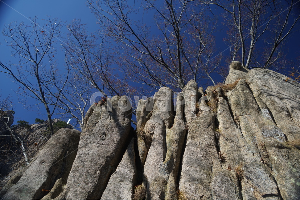 산,나무,바위,풍경,절벽,가을산,자연,풍경,nature,landscape,outdoors,옥외,cliff,낭떠러지,rock,록