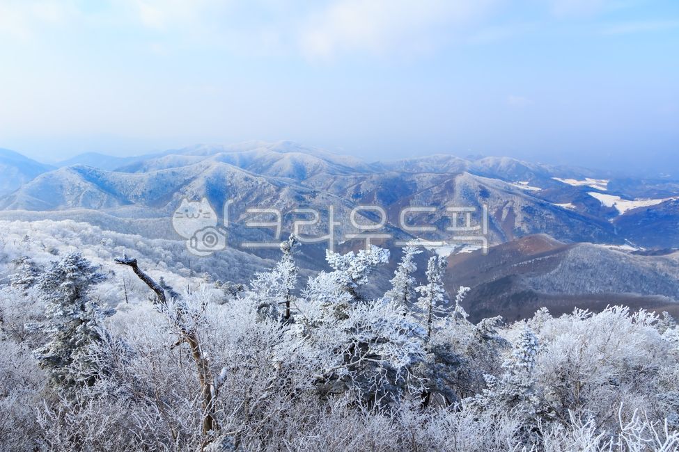 mountainrange,snow scene,balwangsan,winter,cold,scenery,snowscene,mountain,white,frost,snowflower,sky,snowflake,nature,sanggodae,tree,mountain range,outdoor,outdoors,snow,landscape