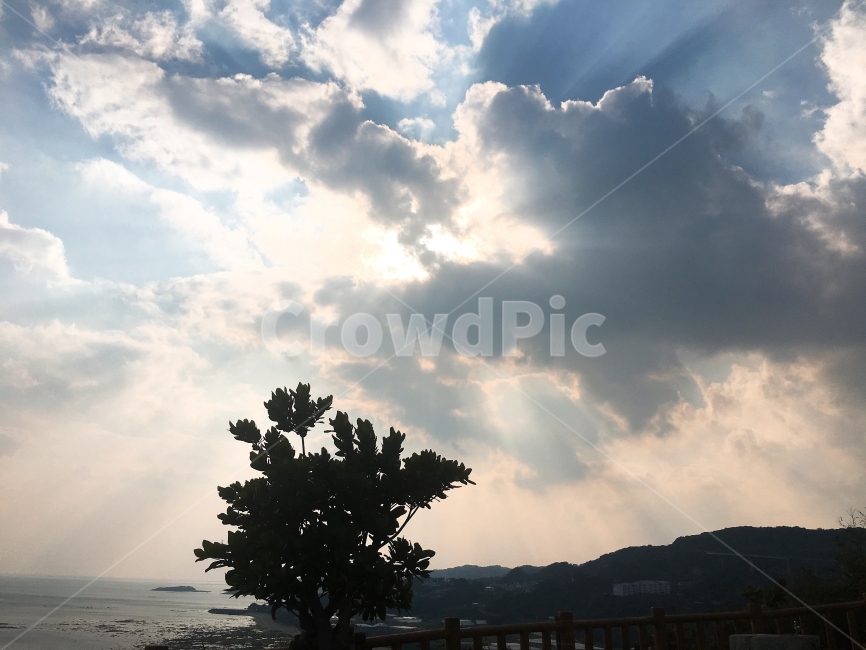 나무,하늘,구름,햇빛,태양,자연,풍경,nature,landscape,outdoors,옥외,weather,날씨