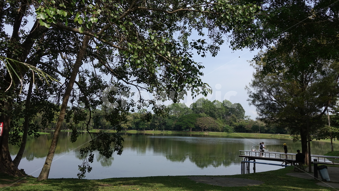 water,물,nature,자연,outdoors,옥외,호수,선착장,데크,deck