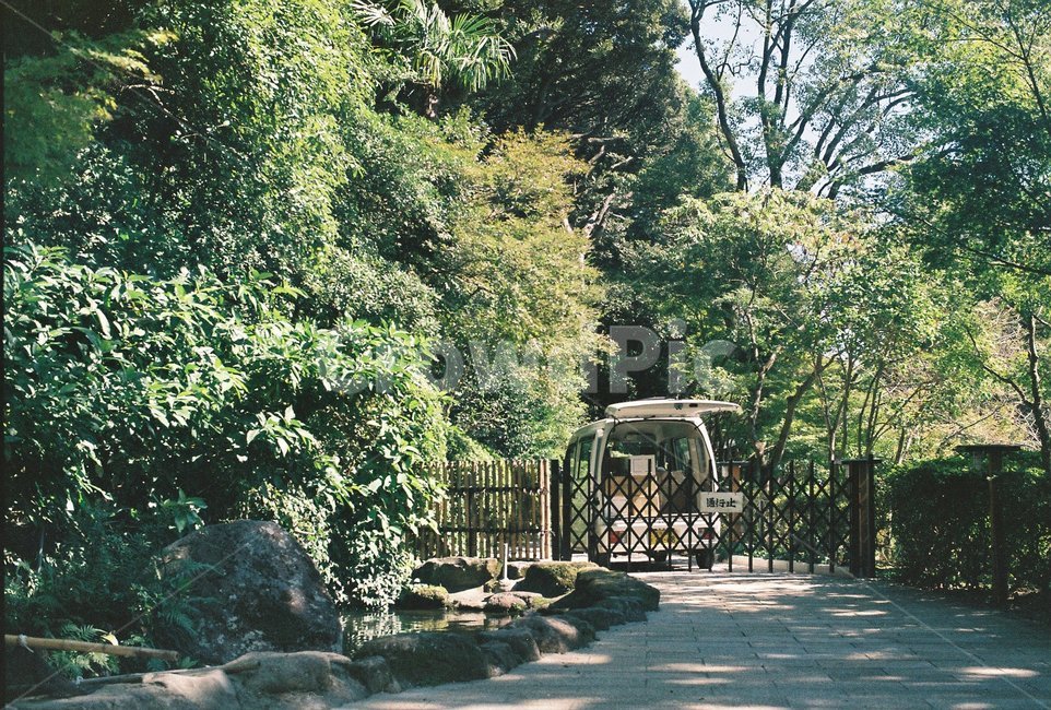 outdoors,정원,garden,일본,나무,자연