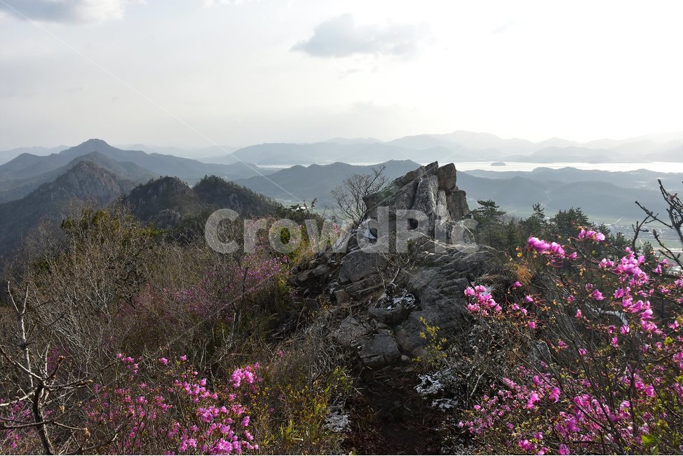주작산,덕룡산,종주,진달래,풍경,기암,바위,비경,봄풍경,진달래꽃,강진,명산,산행,등산,마운틴,힐링,mountain,landscape,자연,natural,봄,계절,spring,season,자연,풍경,nature,landscape,한국자연풍경,한국자연경관,korea nature landscape