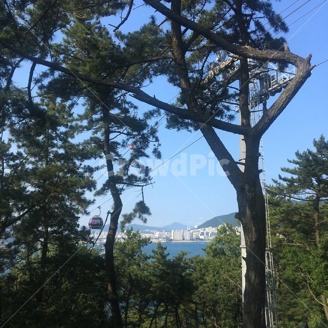 바다,휴가,하늘,나무,산책로