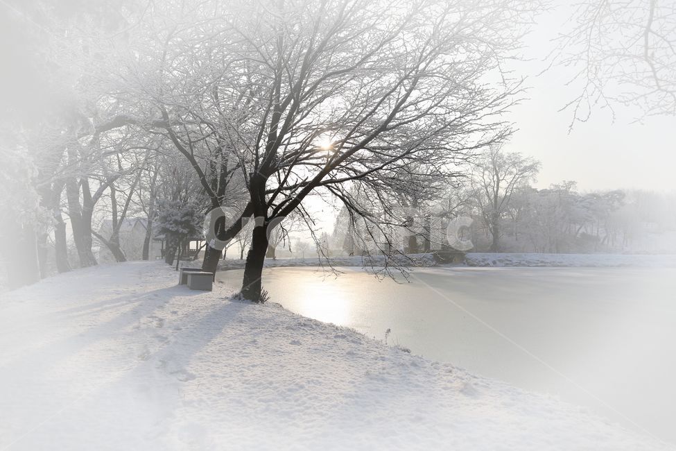 겨울풍경,청주,방죽골,상고대,감성,얼음,눈,winter