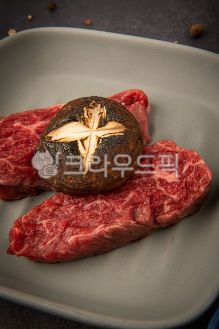 생고기,소고기,한우,암소,고기,food,음식,meat,고깃덩어리,고기덩어리,스테이크,steak,안심,부위,조리전,특수부위,정육,육질