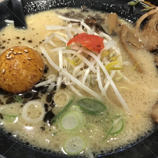 라멘,일식,일본,수란,숙주,차슈,돈코츠,돈코츠라멘,국물,외식,음식,food