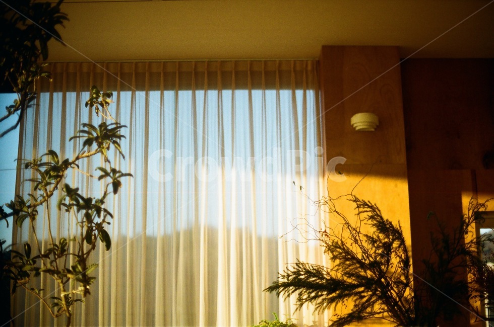 필름,감성,감성사진,노을,햇빛,인테리어,실내디자인,interior design