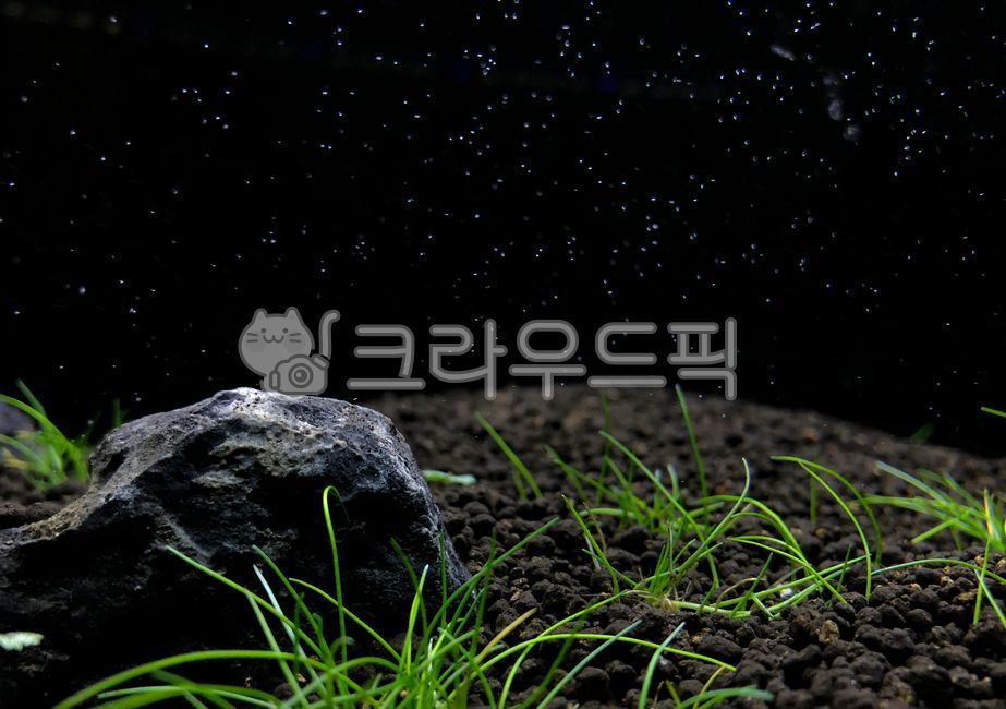 어항,수족관,미니헤어글라스,헤어글라스,소일,전경수초,밤하늘,공기방울,화산석