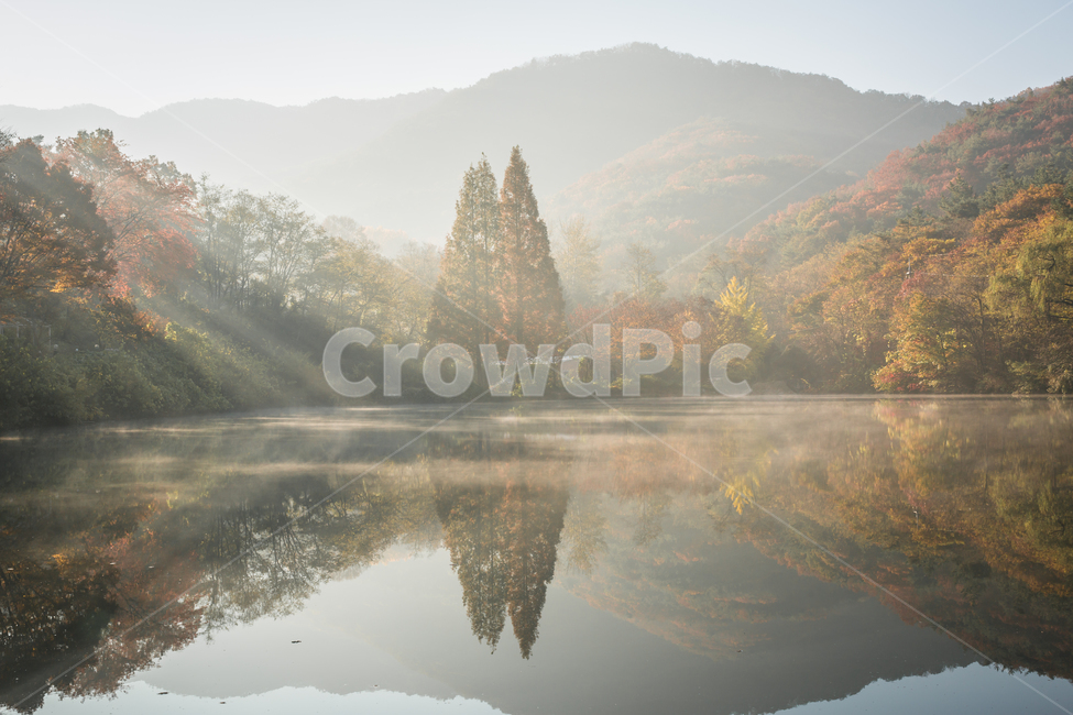 빛내림,가을,단풍,낙엽,일출,햇살,가을,계절,fall,autumn,season,자연,풍경,nature,landscape,한국자연풍경,한국자연경관,korea nature landscape,weather,날씨,outdoors,옥외