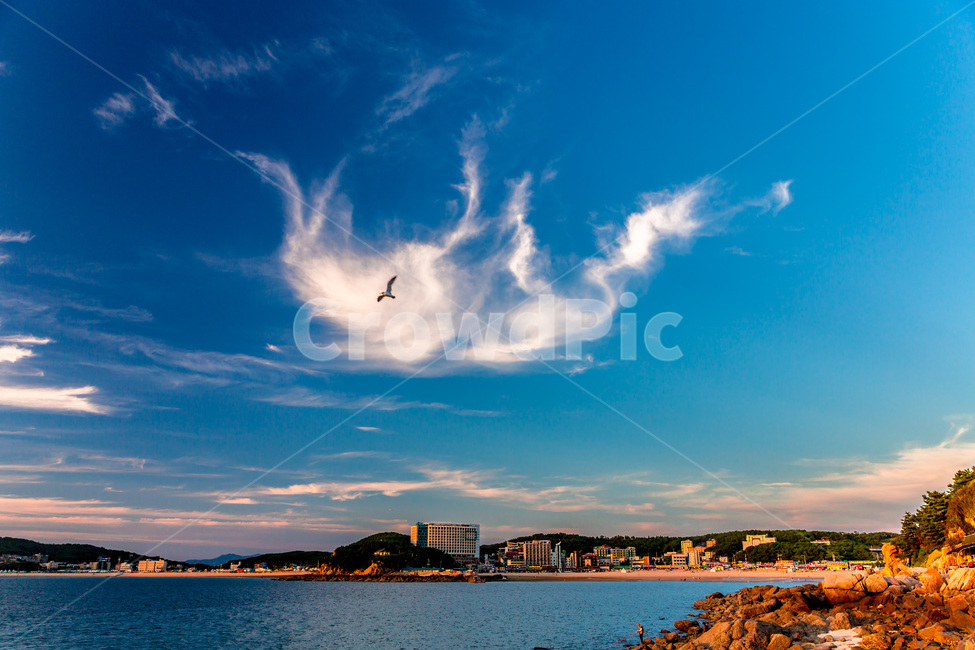 을왕리,구름,낙조,석양,하늘,환경,풍경,비상,자연,풍경,nature,landscape,한국자연풍경,한국자연경관,korea nature landscape,동물,animal,조류,새,birds,outdoors,옥외,land,땅,water,물,sea,바다,ocean,대양,shoreline,해안선,weather,날씨