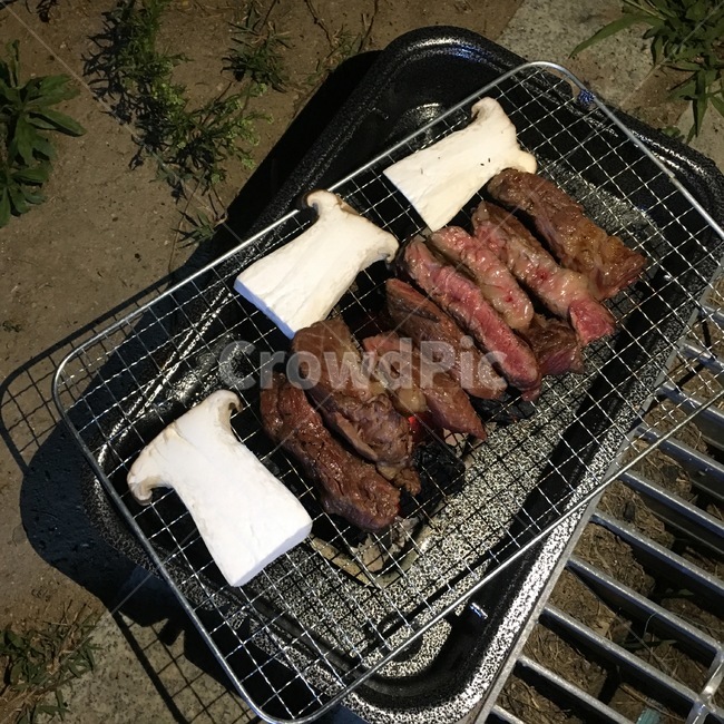 캠핑,캠핑고기,고기,소고기,불판,beef,camping