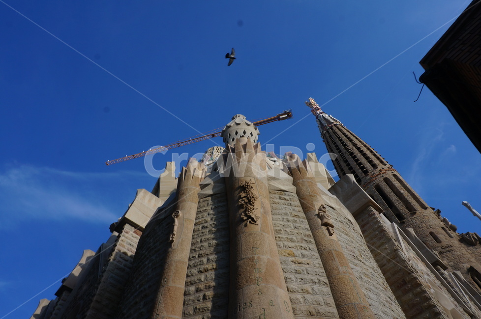 스페인,사그라다파밀리아,성당,가우디,건출물,랜드마크,landmark,tourist attraction,해외,외국,세계,foreign,oversea,world,세계랜드마크,해외랜드마크,외국랜드마크,world landmark,world tourist attraction,architecture,건축물,building,건물,spire,첨탑,steeple,뾰족한 탑,tower,탑
