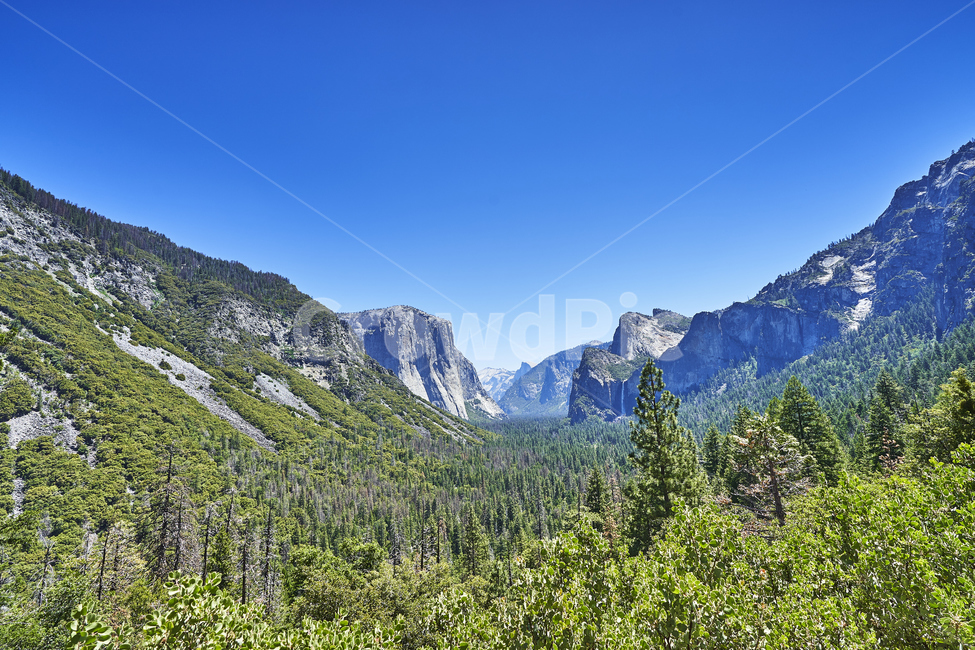 yosemite,요세미티,국립공원,나무,산,풍경,하늘,공원,전망,파노라마,힐링,휴식,자연,풍경,nature,landscape,해외,외국,세계,foreign,oversea,world,세계자연풍경,해외자연풍경,외국자연풍경,world nature landscape,tree,plant,식물,fir,전나무,abies,아비