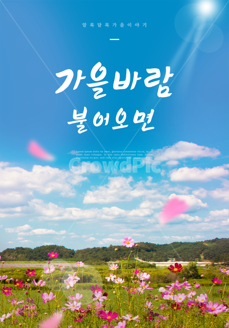 가을,감성,캘리,코스모스,하늘,꽃잎,배경,풍경,캘리그래피,손글씨,한글,문구,글귀,타이틀,엽서,붓글씨,캘리그라피,가을,계절,fall,autumn,season,캘리그라피,손글씨,calligraphy,advertisement,광고