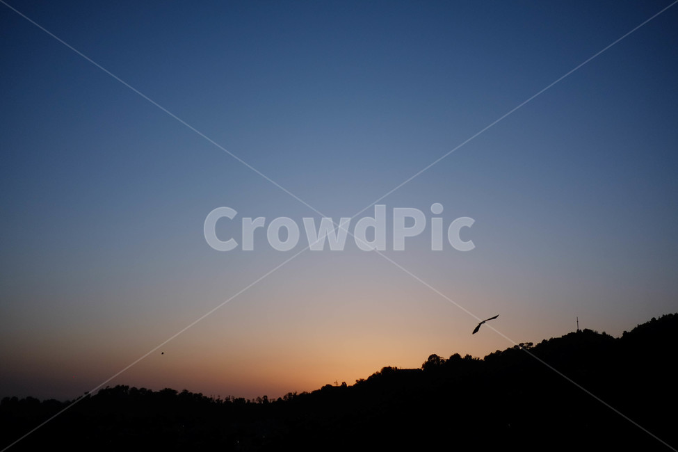 노을,새,자연,풍경,산,감성,자연,풍경,nature,landscape,실루엣,그림자,silhouette,shadow,animal,동물,bird,outdoors,옥외