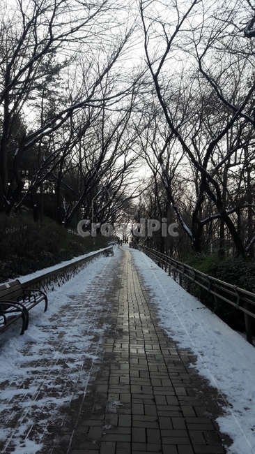 길,자유공원,겨울,하늘,눈,겨울,계절,winter,season