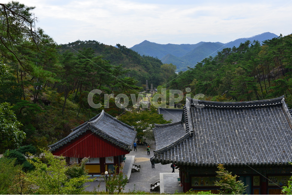 화순,운주사,천불천탑,불상,불탑,사적지,유적지,문화재