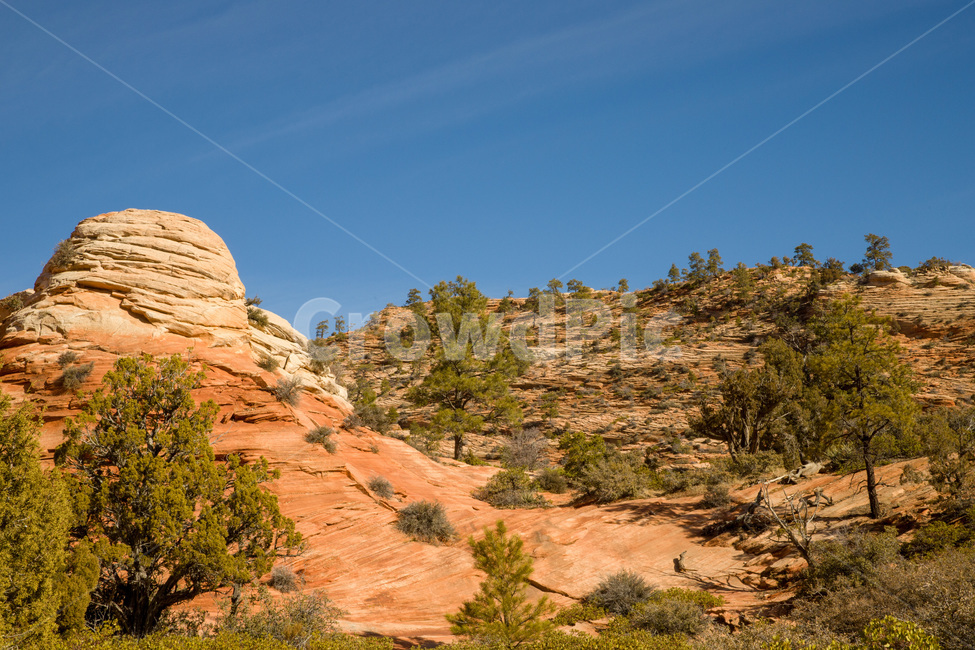 zioncanyon,national,utah,plateau,erosion,sandstone,scenery,arid,beautiful,blue,canyon,cliff,desert,geology,hiking,hill,landscape,mountain,natural,nature,nevadadesert,outdoor,park,red,rock,sand,scenic,sky,stone,summer,tourism,usa,valley,view,미국,아메리카,유타,사막,황량,자이언캐년,자연,풍경,nature,landscape,해외,외국,세계,foreign,oversea,world,세계자연풍경,해외자연풍경,외국자연풍경,world nature landscape