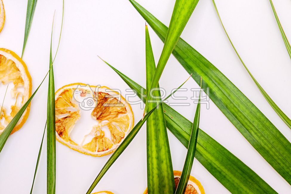 lemon,sliced,dried lemon,citrus fruits,divided leaves,background,fruit,vitamin,food