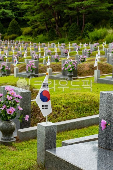묘지, 419탑, 공동묘지, 묘, 무궁화, 사진,이미지,일러스트,캘리그라피 - shinja작가