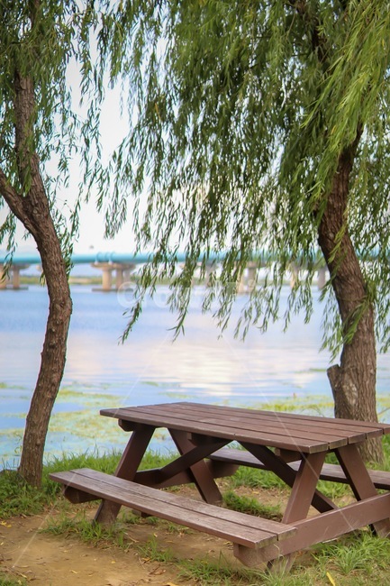 피크닉,picnic,공원,벤치,bench,나무,식물,plant,table,자연,풍경,nature,landscape,나무,trees,wood,표,tree