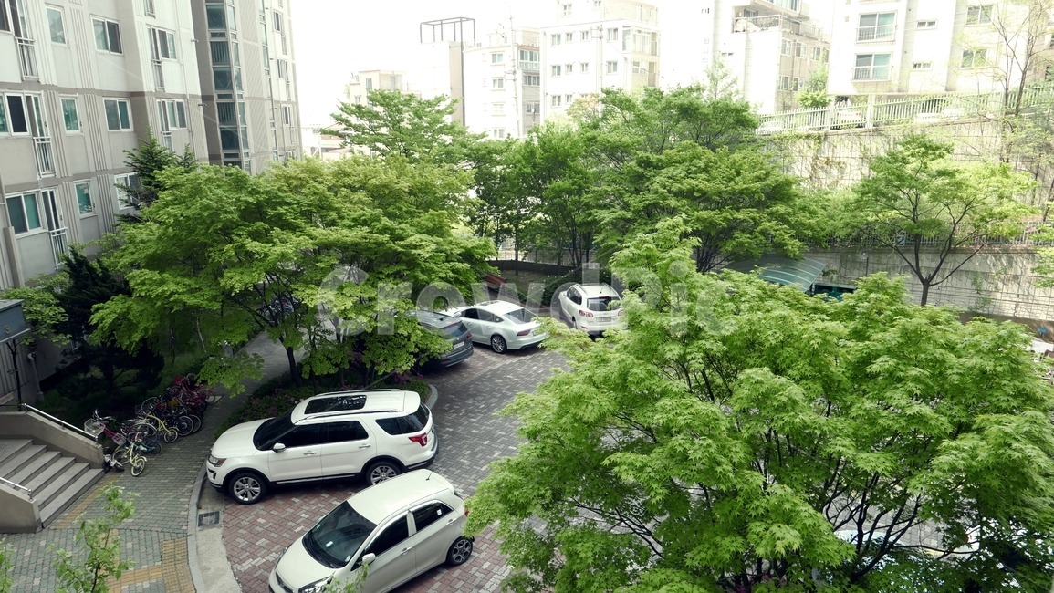 아파트,주차장,동네,tree,plant,transportation,교통
