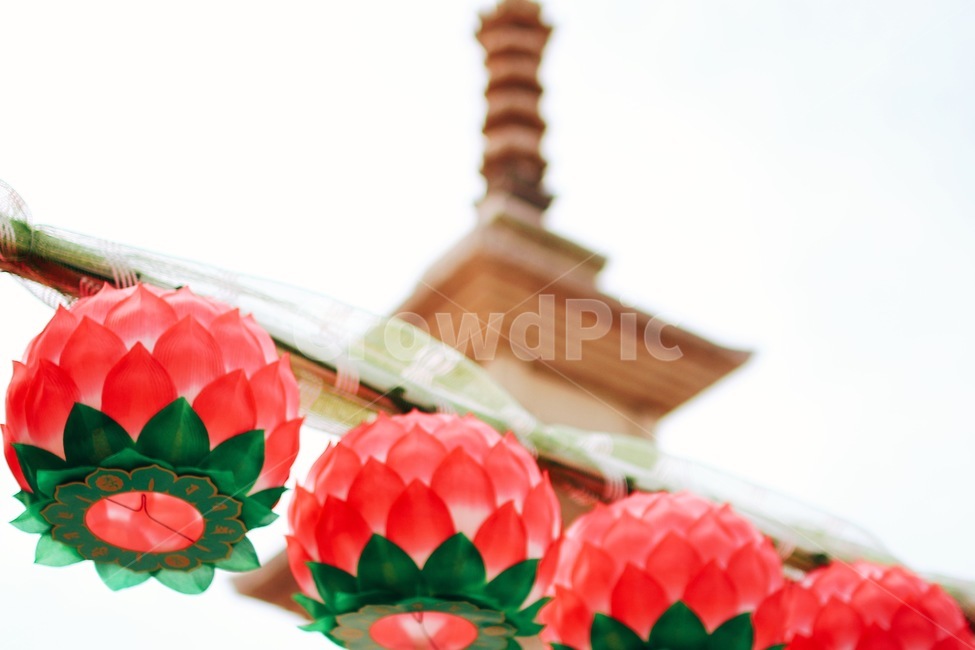 사찰,절,부처님오신날,연등,탑,종교,신앙,religion,belief,faith